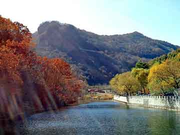 莱芜禽流感，机油多久换一次